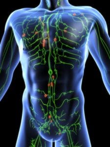 HCL Supplementation and the Lymphatic System