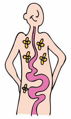 Chew more thoroughly for better health and weight loss