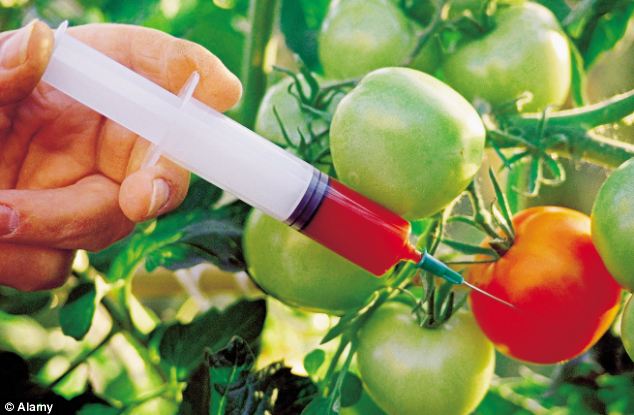 What is the big deal with GMOs?