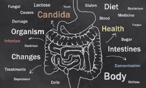 Get a candida infection under control naturally