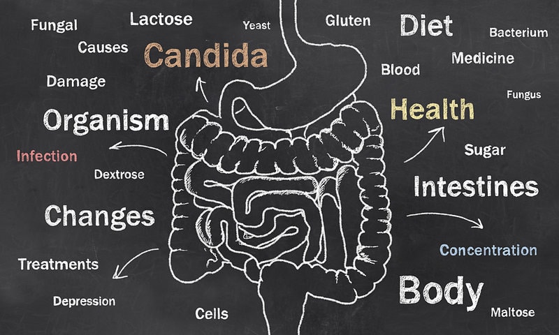 Get a candida infection under control naturally