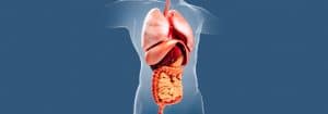 Your Gallbladder Can Cause Gut and Health Problems