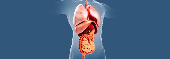 Your Gallbladder Can Cause Gut and Health Problems