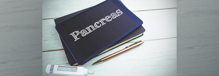 Pancreas