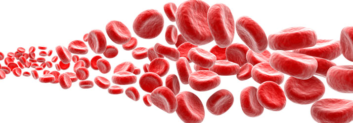 Lake Norman Integrative Wellness in Lake Norman Blood Cells